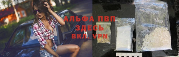 mdpv Бородино
