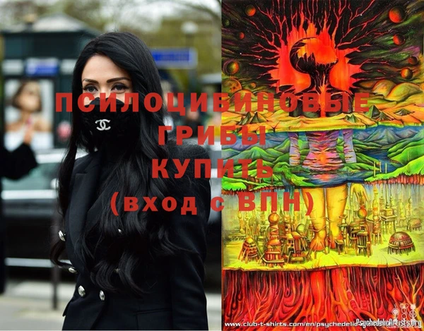 спайс Богородицк