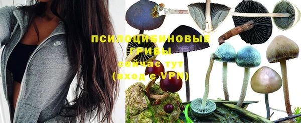 таблы Богородск