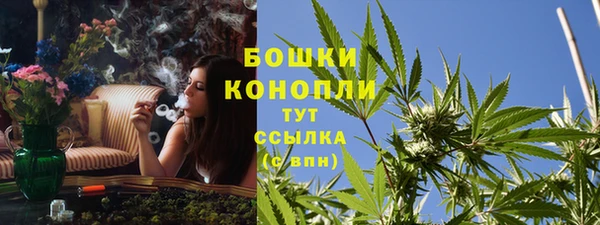 ешки Богданович
