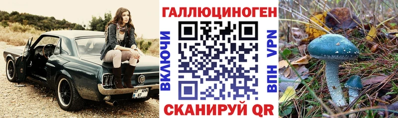Галлюциногенные грибы прущие грибы  Великий Устюг 